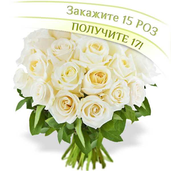 17 белых роз - букет из 17 белых роз